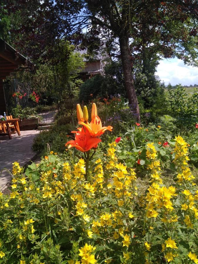 Chalet Le Paradou Adults Only Lessive Ngoại thất bức ảnh